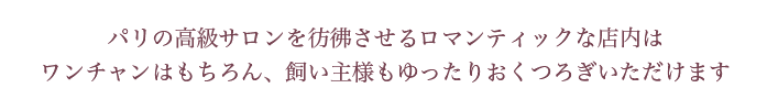 パリの高級サロンを彷彿させるロマンティックな店内はワンちゃんはもちろん、飼い主様もゆったりおくつろぎいただけます